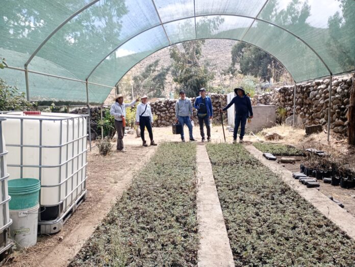 PROYECTO PERUANO GANA 2DO. LUGAR EN CONCURSO DE LA NASA.