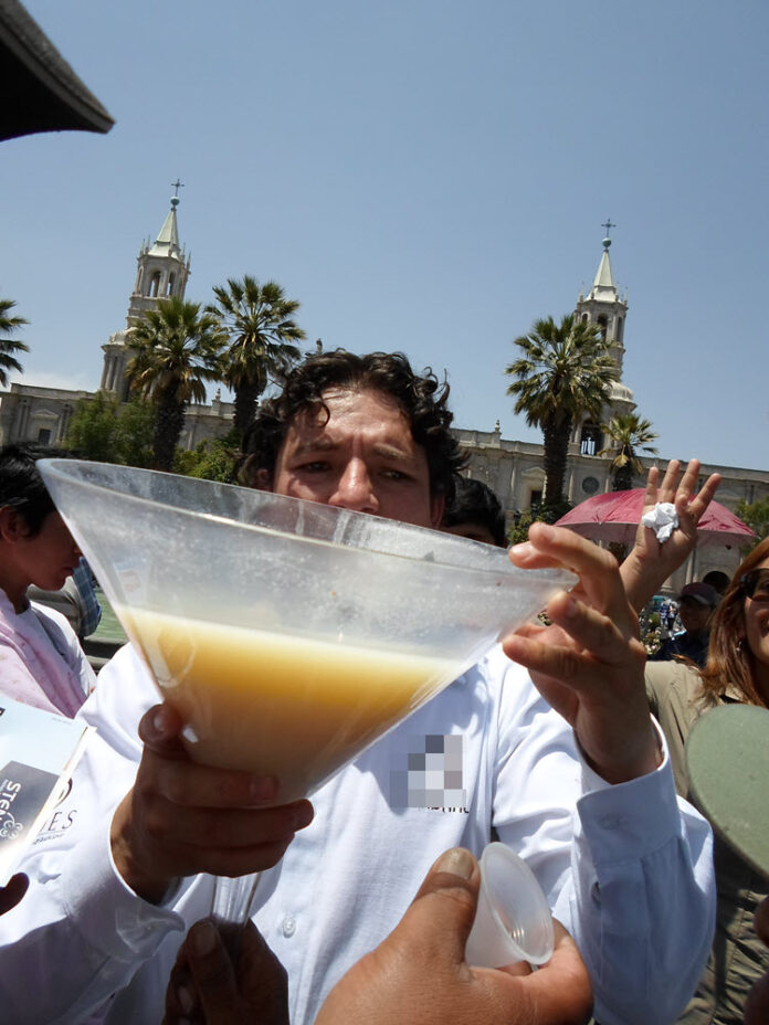 PISCO SOUR FUÉ HOMENAJEADO EN AREQUIPA.