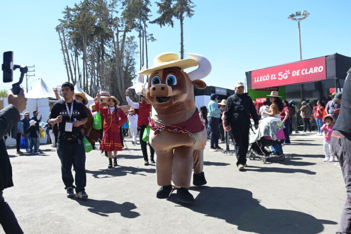 EL OTRO CORSO